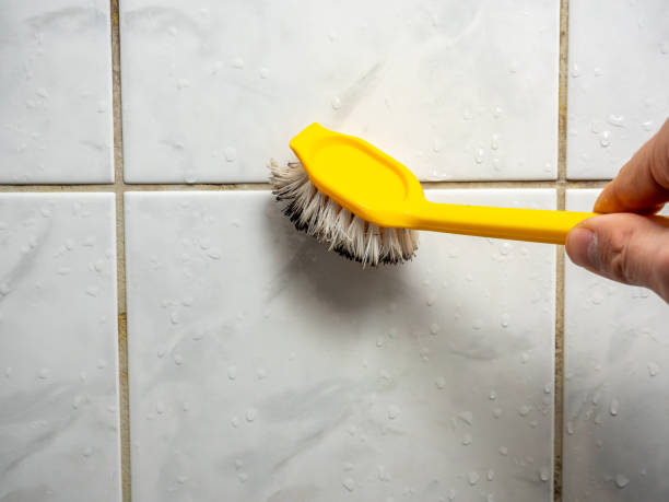Best Residential Mold Removal  in Etowah, NC
