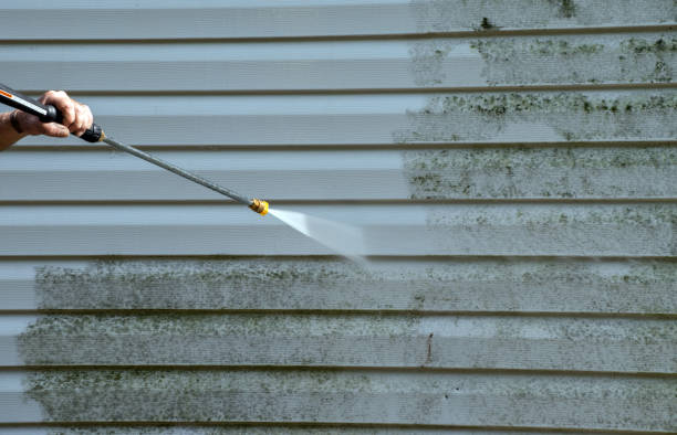 Certified Mold Removal in Etowah, NC